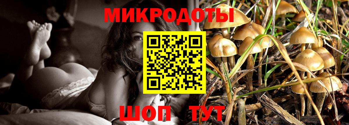 Псилоцибиновые грибы прущие грибы  Вход с VPN  Вичуга 